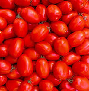 Tomato